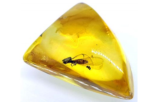 Piedra ámbar con un insecto en su interior