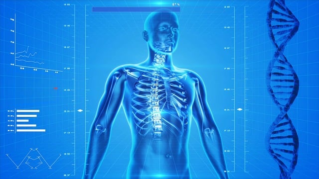 Alostasis - adaptación del cuerpo